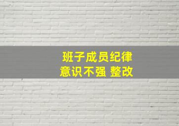 班子成员纪律意识不强 整改